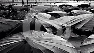 Umbrella at Nai Harn Beach Phuket Thailand