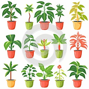 Umbrella Plant (Schefflera Arboricola), Pot Plant Flat Icon Set, Umbrella Plant Flat Design photo