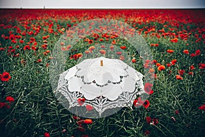 Umbrella in poppies field. Artistic interpretation. photo