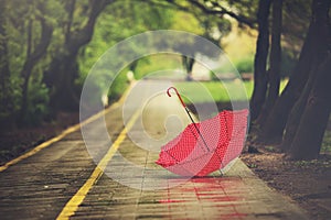 Umbrella on a rainy autumn day