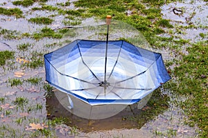 Umbrella taken by the wind and landed upside down in a big spring puddle during a rain storm