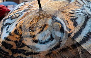 Umbrella tiger print