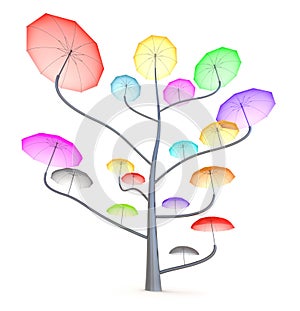 Umbrella tree