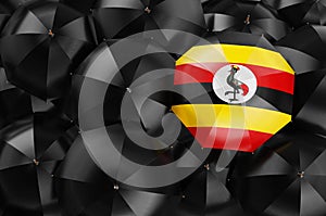 Umbrella with Ugandan flag among black umbrellas, 3D rendering