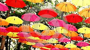 Umbrella umbrela s flowers ItanhaÃ©m tropical botanical Brazil ItanhaÃ©m waves SÃ£o Paulo