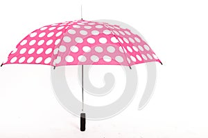 Umbrella on White Isolated Background