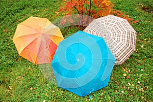 Umbrellas in the autumn park.