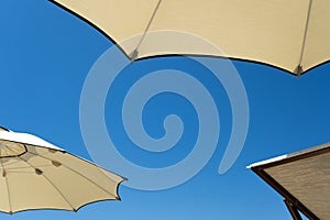 Umbrellas and chaise longues with blue skies