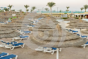 Umbrellas and chaise lounges on the beach. Scenic view of private sandy beach with sun beds from the sea