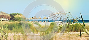 Umbrellas and chaise lounges on beach. Summer seascape.