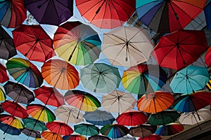 Umbrellas photo
