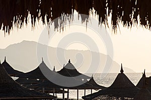 Umbrellas on the Egipt beach