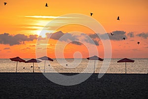 Umbrellas, flying birds and tropical beach and golden sunrise over the sea horizon