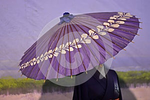 Umbrellas from geisha