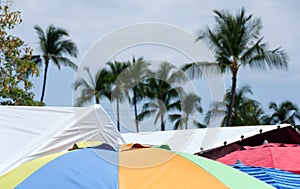 Umbrellas at Kona Farmer Market
