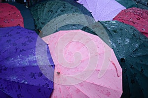 Umbrellas for the rain photo