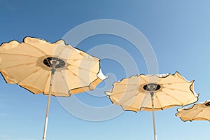 Umbrellas in the wind at the beach
