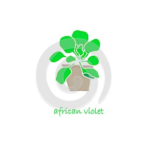 Umbrian Violet plant in pot icon set flat design object isolated