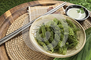 Umi-budou Seaweed or Green Caviar Healthy sea food or sea grapes seaweed on plate