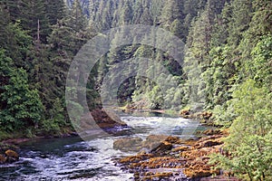 Umpqua River