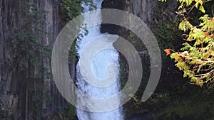 Umpqua or Toketee waterfall is seen in the foreground of a forest