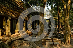 Un couloir et des arbres au temple Ta Prohm dans le domaine des temples de Angkor, au Cambodge