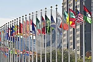 UN Flags