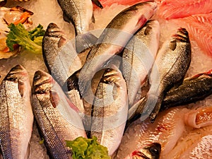 Un groupe de poisson frais sur le marchÃÂ© photo
