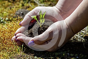 una mano per la natura