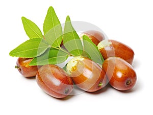 Unabi fruits Ziziphus,jujube with leaves