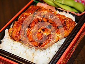Unadon or Grilled eel with soy sauce on Japanese steamed rice in a bento set photo