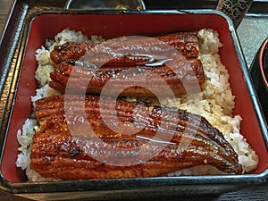 Unadon Unagi Donburi Rice eel kabayaki is seafood. Of Japan By the Japanese fish that was stripped out. Grate and rinse the s