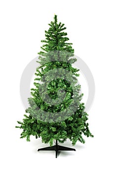 Unadorned Christmas tree photo