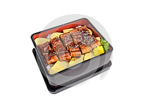 Unagi don or Japanese ell grilled with kabayaki sauce and tamago in bento