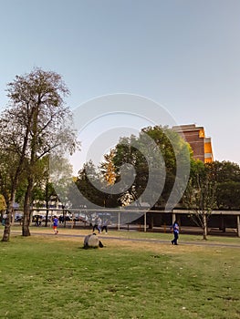 Building of the national university of Mexico