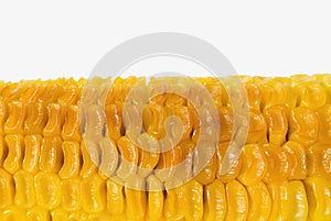 Unappetizing grilled corn
