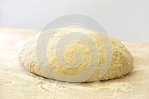 Unbaked loaf of bread in a bakery