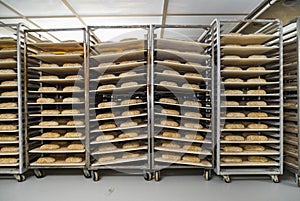 Unbaked loaves of bread in a proofing room