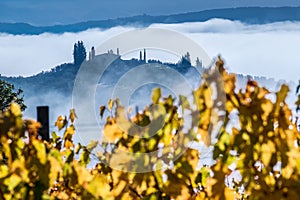 Unbelievable early first sunrise rays foggy landscape view agriturismo farmland covered with morning mist. Yellow autumn vineyard photo