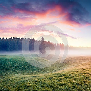 Unbelievable summer sunrise in Durmitor Nacionalni Park. Splendid foggy view of Montenegro countryside, Zabljak town location. Bea