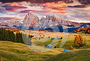 Unbelievable sunrise on Alpe di Siusi mountain plateau with beautiful yellow larch trees and Langkofel Sassolungo mountain on ba