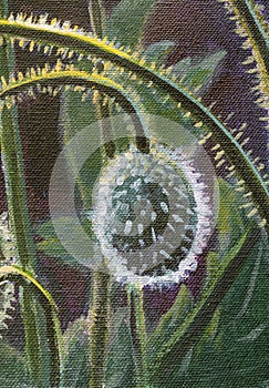 Unblossomed flower bud of field poppy close-up acrylic painting