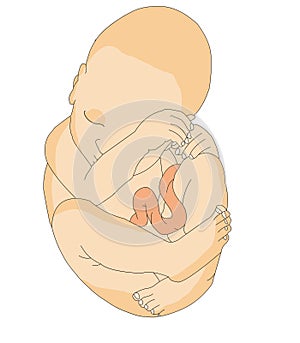 Unborn