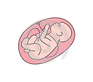 Unborn baby flat vector illustration. Healthy fetal, embryo outline color icon. Obstetrics clinic, maternity hospital