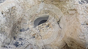 An unborn baby in the womb, Indonesia beach rock formation by erosion