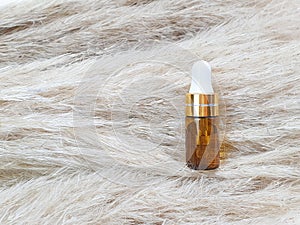 Unbranded bottle of cosmetic liquid transparent gel on Cortaderia or Pampas grass background. Flatlay style, mockup