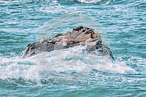 The unbridled power and beauty of the ocean, close-up, the waves crash on the rocky shore. The rough texture of the rocks