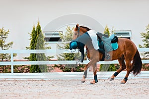Unbroken horse on the start. Rider commit a fail. Falling from a horse to a speed and hardiness competition photo