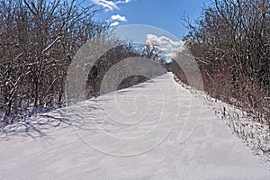 Unbroken Snow on a Rural Road photo