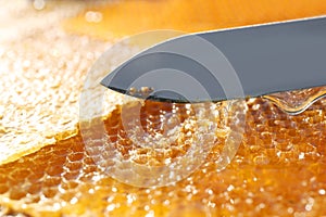 Uncapped comb with knife and fresh sweet honey, closeup